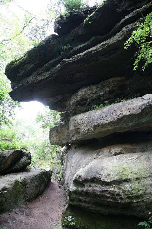 Landpension Bielatal - Raum Extérieur photo