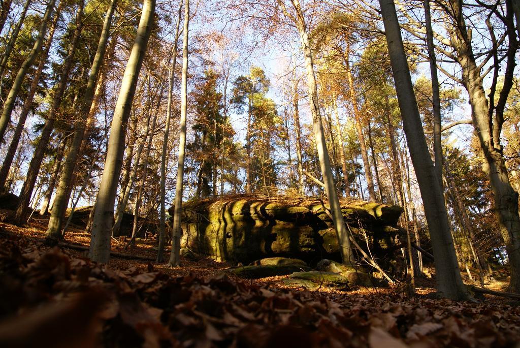 Landpension Bielatal - Raum Extérieur photo